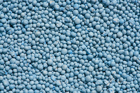 Οδηγός λίπανσης της Ελιάς